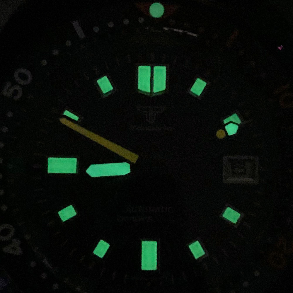 20ATM Tandorio 44mm Turtle 610 - Luxury Watch With Green Dial review and price